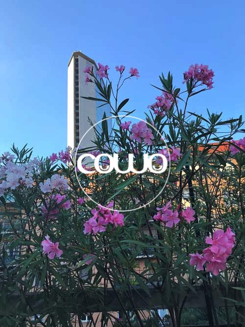 La vista dallo spazio Cowo Stazione Centrale