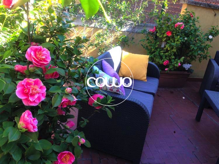 eventi-stazione-centrale